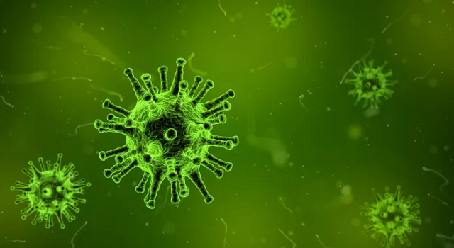 Os sintomas de um coronavírus são nariz entupido, tosse, garganta inflamada, mal estar, febre e dor de cabeça (Foto: Reprodução)