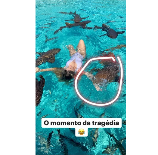 No momento do incidente, ela tentava fazer uma foto entre os animais (Foto: Reprodução)