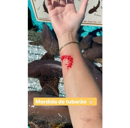 (Foto: Reprodução)