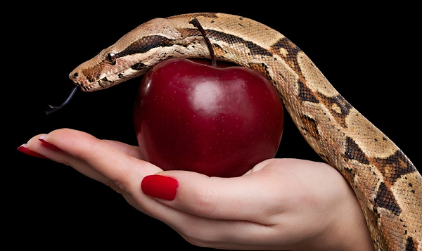 Precisamos nos lembrar de que nossos corpos, assim como nossas almas, foram redimidos e pertencem a Deus (Foto: Reprodução)