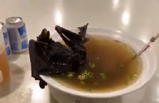 Sopa de morcego é prato comum em Wuhan (Foto: Reprodução | Twitter)