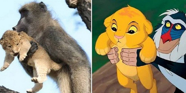 Foto que despertou a criança interior de todos foi tirada no Parque Nacional Kruger, na África do Sul (Foto: Reprodução)