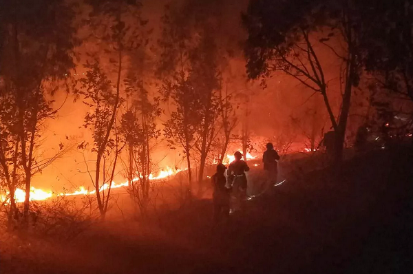 Bombeiros enfrentam incêndio florestal na província de Sichuan, no sudoeste da China nesta terça (31) (Foto: STR | AFP)