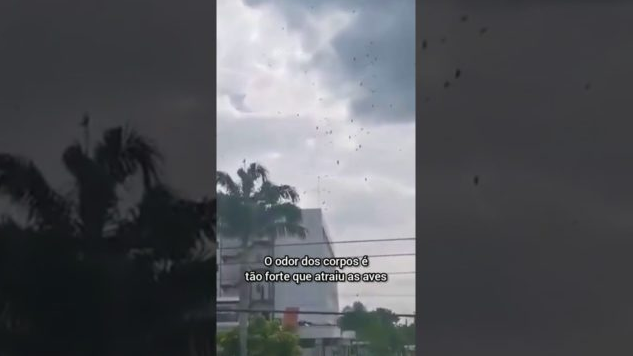 Diversos vídeos e fotos mostram os corpos sendo deixados em calçadas ou dentro de residências (Foto: Print | Vídeo)