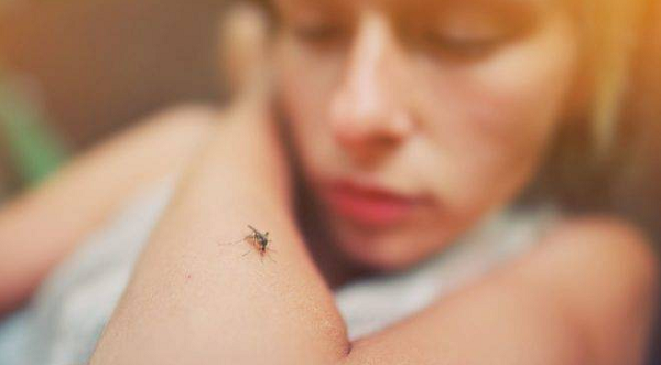 A única forma de eliminar as duas doenças é através do combate ao mosquito, por meio da eliminação dos criadouros nas casas, no trabalho e nas áreas públicas (Foto: Reprodução)