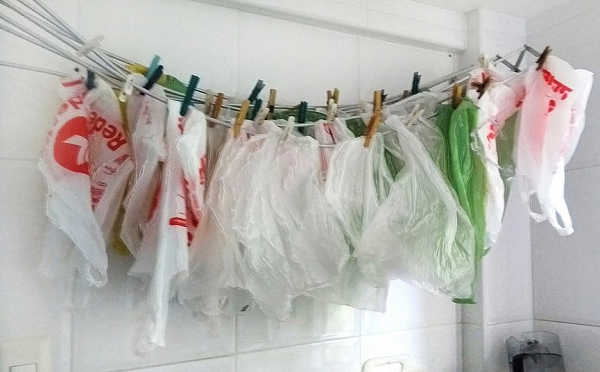 Vírus permanece na sacola plástica por três dias (Foto: Reprodução)