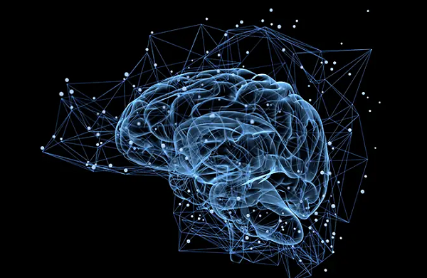 Cérebro (Foto: iLexx | Thinkstock)