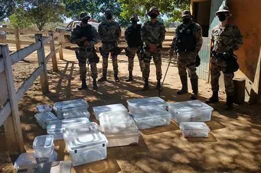 Jovem seria dono de mais de 16 cobras exóticas (Foto: Reprodução)