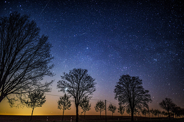Estrelas: fenômeno terá seu pico nas madrugadas dos dias 28 e 29 de julho (Foto: Patrick Pleul | Getty Images)