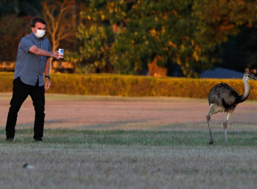 Presidente Jair Bolsonaro (Foto: Reprodução)
