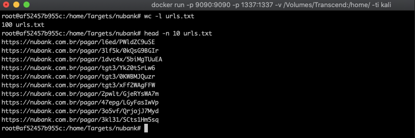Após criar scipts, pesquisador conseguiu reunir uma lista de CPFs, nomes e contas de mais de 100 pessoas (Foto: Heitor Gouvêa | Reprodução)