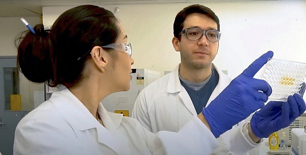 Teste pode determinar se a pessoa está infectada no momento ou se já teve a covid-19 no passado (Foto: Departamento de Engenharia Química da Universidade Monash | Divulgação)