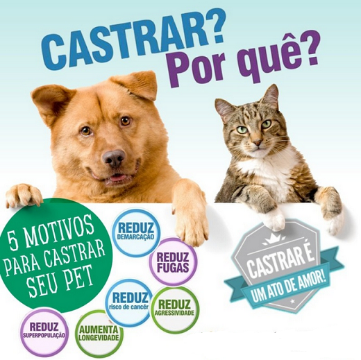 A castração cirúrgica será em fêmeas e machos das espécies canina e felina de 6 meses a 5 anos de idade (Foto: Reprodução)
