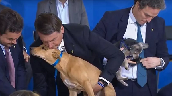 Lei foi assinada em cerimônia no Palácio do Planalto com a presença de ministros e de animais de estimação (Foto: Divulgação)