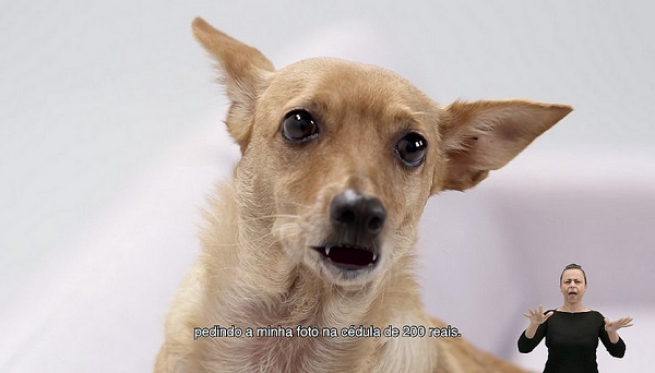 Os pedidos nas redes sociais para o BC adotar o vira-lata caramelo como símbolo da nova nota começaram depois do anúncio da cédula (Foto: Reprodução)