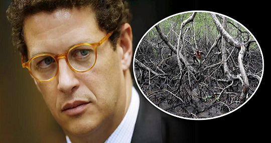 Ministro do Meio Ambiente, Ricardo Salles (Foto: Reprodução)