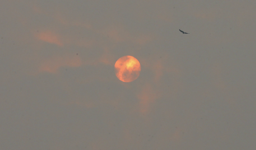 Para antropóloga, pandemia generalizou sentimento de incerteza vivido tradicionalmente pelos mais pobres. 'O medo generalizado, quando instrumentalizado, nos destitui da capacidade de coesão, de encontrar o outro' - Foto: Reprodução