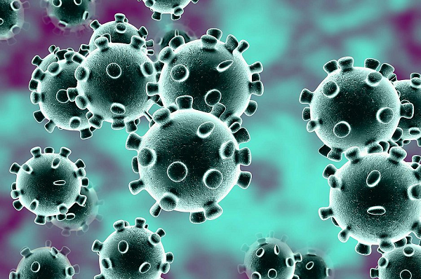 Nesta quarta, a Bahia chegou a 7.021 perdas humanas para a pandemia (Foto: Reprodução)