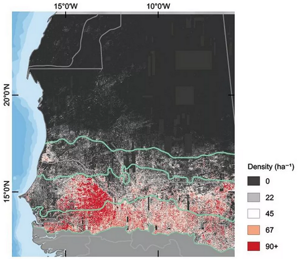 Neste mapa, é possível ver o número de árvores por hectare na área estudada (Foto: Martin Brandt | BBC)