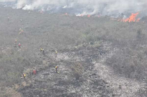 Incêndio na região da Chapada Diamantina chega ao 5º dia de combate e tem situação controlada (Foto: Corpo de Bombeiros | Divulgação)
