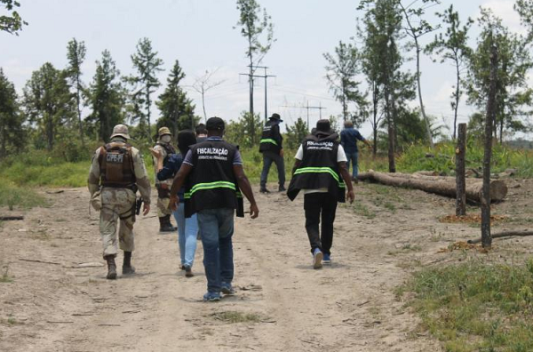 Além das Forças da Segurança Pública, participaram da ação órgãos de fiscalização e proteção do município e do Estado (Foto: Divulgação | SSP-BA)