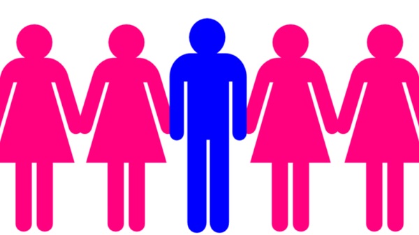 Mesmo quando estudamos Adão e Eva (não Evas), poligamia não era a intenção original de Deus. Deus aparenta ter permitido poligamia para resolver um problema, mas era o Seu desejo que esse problema nunca tivesse ocorrido (Ilustração Google)