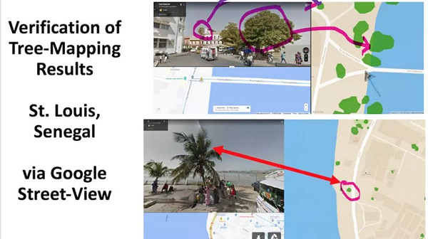 Os pesquisadores também usaram o Google Maps para verificar a presença de árvores em áreas povoadas da área estudada (Foto: Compton Tucker | BBC)