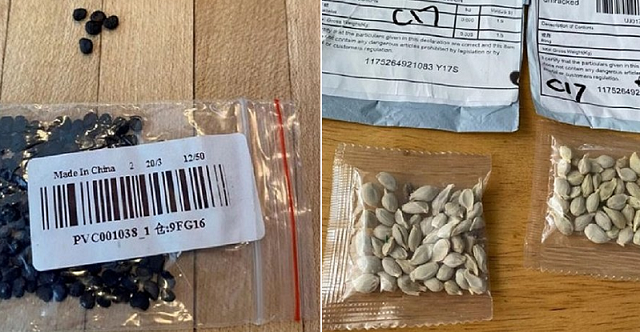 Ao todo 25 dos 258 pacotes relatados já passaram por testes (Foto: Reprodução)