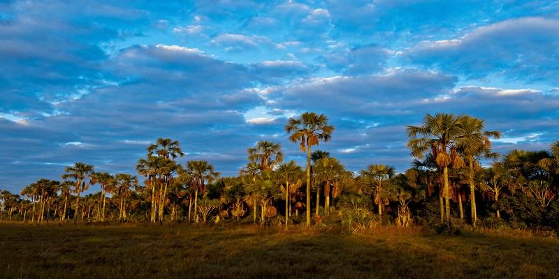 '(...)Por isso diz: Desperta, tu que dormes, e levanta-te dentre os mortos, e Cristo te esclarecerá. Portanto, vede prudentemente como andais, não como néscios, mas como sábios, Remindo o tempo; porquanto os dias são maus. Por isso não sejais insensatos, mas entendei qual seja a vontade do Senhor'. Efésios 5:14-17