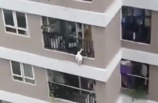O flagrante foi registrado por moradores e viralizou nas redes sociais (Foto: Reprodução)
