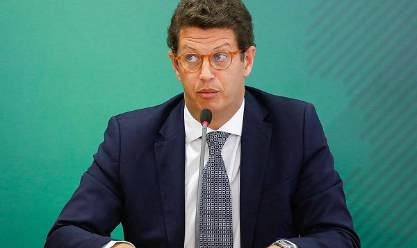 Ricardo Salles, ex-ministro do Meio Ambiente (Foto: Reprodução)