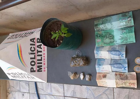 A cédula tinha desenhos de bicho-preguiça e folhas de maconha (Foto: Reprodução)