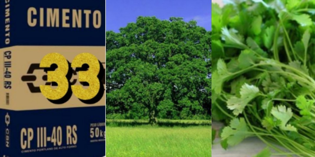 '(...)Porque agora vemos por espelho em enigma, mas então veremos face a face; agora conheço em parte, mas então conhecerei como também sou conhecido'. (1 Coríntios 13:12)