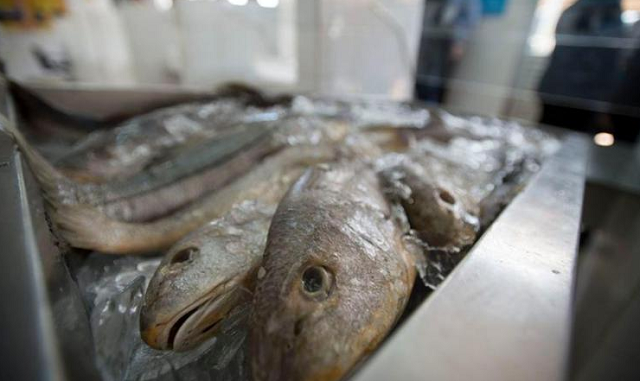 Doença é causada por uma toxina que pode ser encontrada em peixes (Foto: Marcelo Camargo/Agência Brasil)