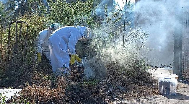 O biólogo Marcos Abelha resgata colmeias em locais de risco (Foto: Reprodução)