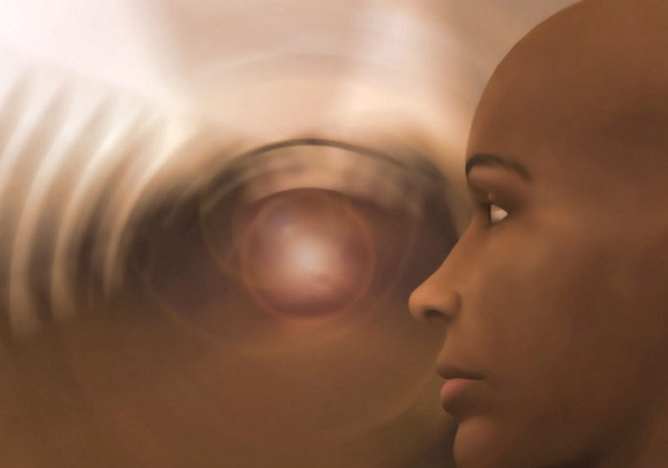 O que ocorre no cérebro quando morremos? Cientistas já têm uma resposta (Foto: Pxfuel)