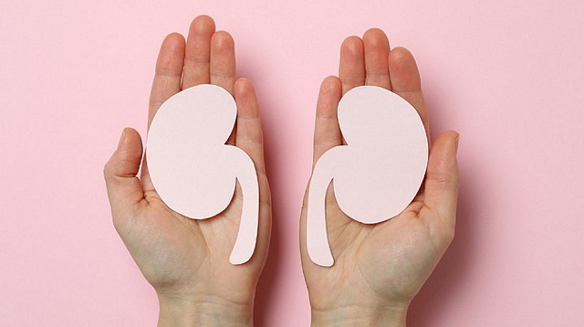 Os rins transplantados funcionaram perfeitamente nas 54 horas de monitoramento (Foto: Reprodução)