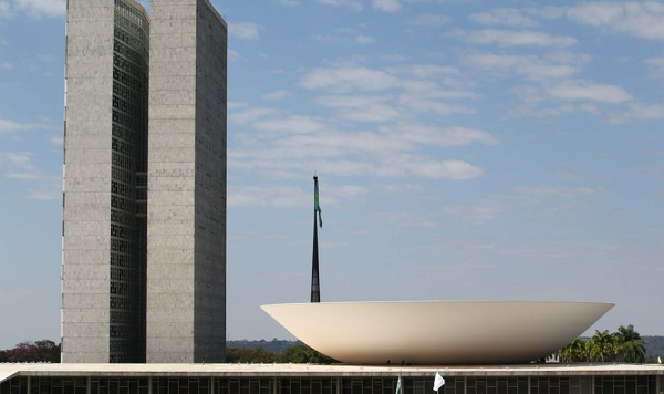 Buscam a renovação do mandato 389 dos atuais deputados federais e 62 deputadas (Foto: Fabio Rodrigues Pozzebom/Agencia Brasil)