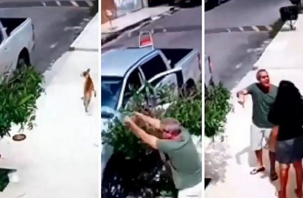 Câmeras de segurança registraram o momento em que o vizinho começa a retirar as vasilhas para os cachorros (Foto: Reprodução)