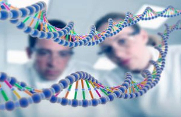 Essa é uma leitura, que irá melhorar sobremaneira o seu pensar 'sobre Deus' - Ilustração Google