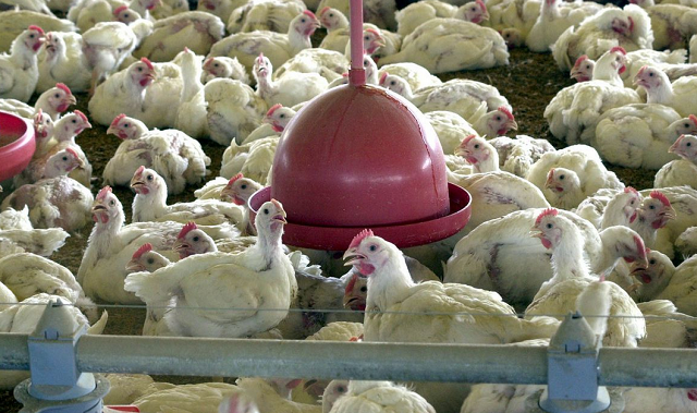 O ministério informou que estão em andamento outras seis investigações (Foto: Arquivo/Agência Brasil)