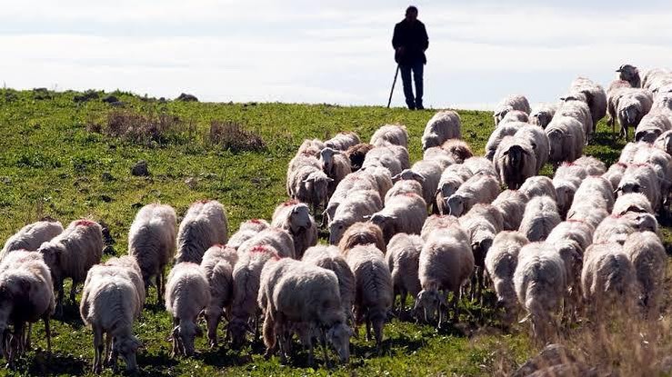'(...)Pois qual é a porção que o homem recebe de Deus, lá de cima? Qual a sua herança do Todo-poderoso, que habita nas alturas? Não é ruína para os ímpios, desgraça para os que fazem o mal?' (Jó 31:2,3) - Ilustração Google