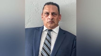 Estratégia confusa e ‘suicida’ de advogado, que praticamente incrimina ex-presidente, deixou aliados coléricos e forma como ele passou a ser chamado é pouco elogiosa - Na imagem o advogado Frederick Wassef - Foto:Reprodução