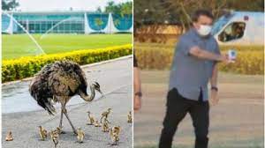 No governo anterior, aves sofreram maus tratos, foram expostas a situações bizarras e duas delas morreram por alimentação inadequada. Foto: Ricardo Stukcert - Reprodução