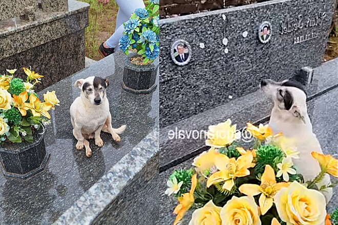 Todos os dias, sem exceção, Branquinho faz uma jornada solitária até o cemitério de Santa Clara do Sul. Lá, ele visita o túmulo de Ademar e fica ao lado da foto de seu amigo por horas a fio. Foto: Reprodução