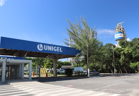 Unigel (Foto: Reprodução)