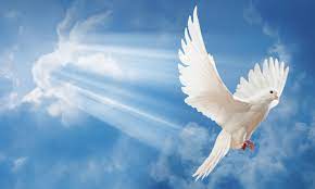 Quando Ele habita em nós, Ele começa o processo de colher fruto em nossas vidas - amor, alegria, paz, longanimidade, benignidade, bondade, fidelidade, mansidão, domínio próprio (Gálatas 5:22-23) - Ilustração Google