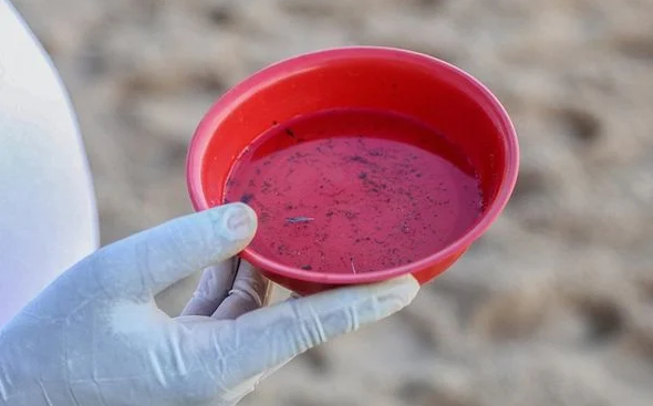 Dengue hemorrágica já é causa de seis mortes na Bahia em 2023 (Foto: Bruno Concha/Secom)