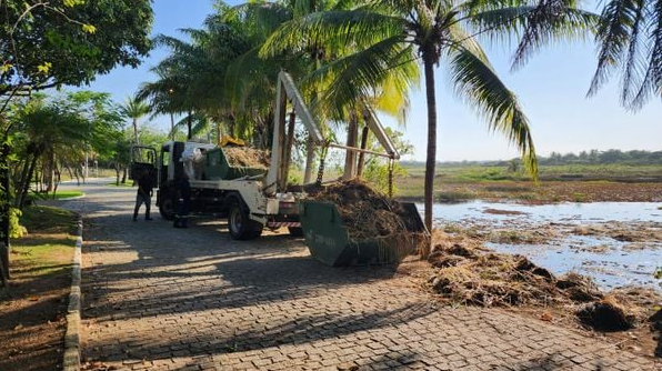 Local foi limpo e revitalizado (Foto: Divulgação)