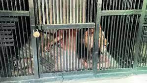 Foto: Reprodução/Redes Sociais